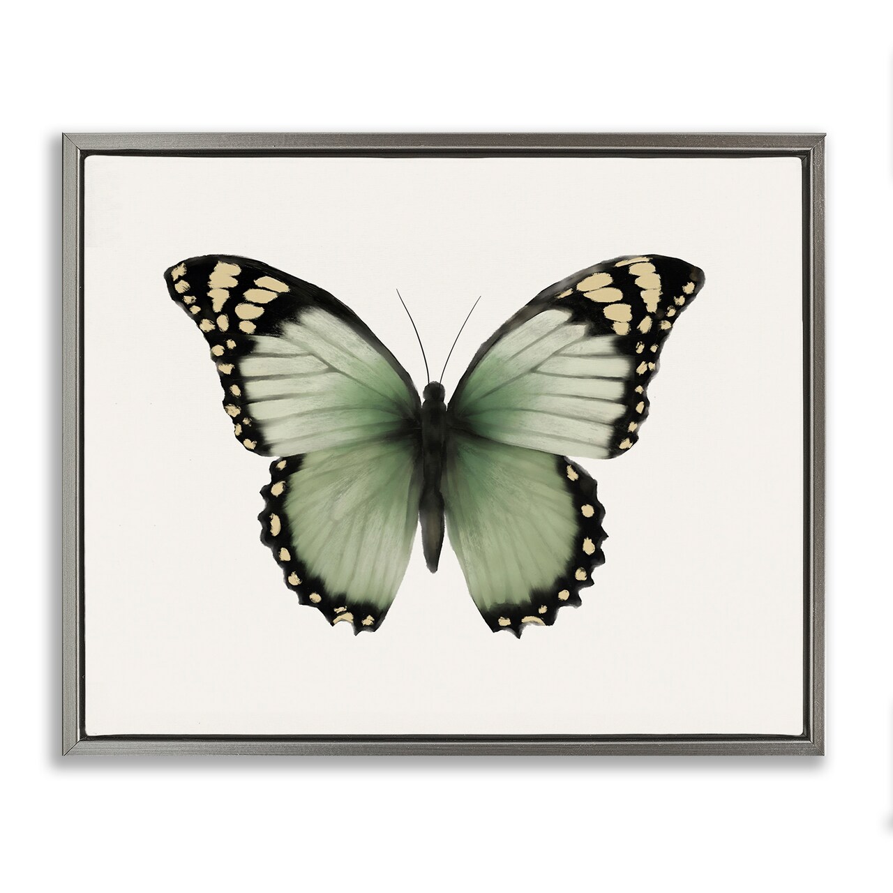 Stupell Industries Green Symmetrical Butterfly Framed Floater Canvas Wall Art Design by Elizabeth Medley